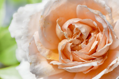 北京大兴夜市哪里最热闹 大兴哪里有夜市啊