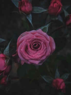 伴娘服有150斤能穿的吗 伴娘服150多斤能穿上么