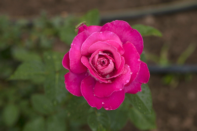 银行人员着装要求 广东农商银行面试着装要求