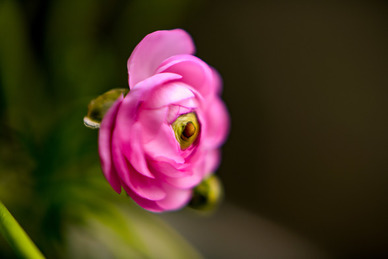 婚礼答谢宴发言稿 结婚答谢宴致辞 女方答谢宴简短讲话