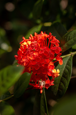 结婚必须要户口本吗 离了婚，我和孩子的户口怎么办？