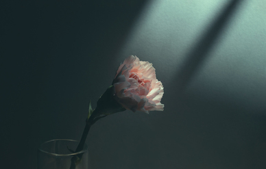 婚宴桌上摆什么零食 婚宴桌上摆什么零食 桌上餐盘双数吉利