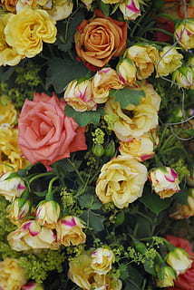 简单手工请柬制作过程 学生手工请柬的制作方法