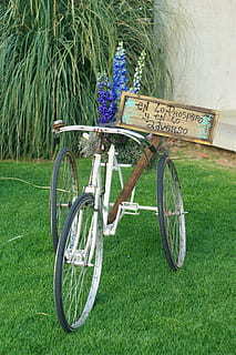 主持合影主持词 同学聚会主持词