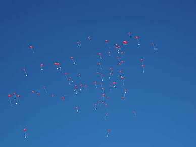 结婚wedding wedding什么意思