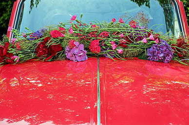 道路从业资格证多少钱 道路运输从业资格证多少钱?