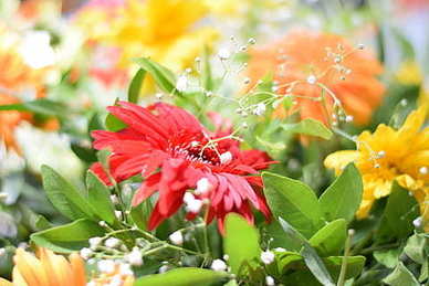 酒店元旦晚会主持人台词 晚会主持词内容 新年晚会主持稿范文模板