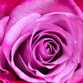 婚前按揭房可以公证为双方所有吗 婚前房产可以公证为双方拥有吗