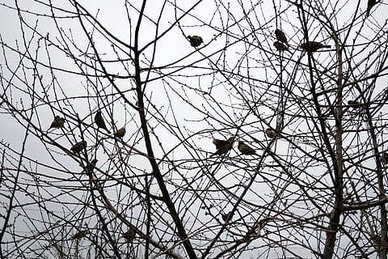 婚车胶布留下的胶痕怎么去除