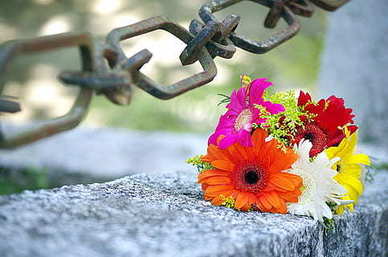 婚车接出来后又开回女家