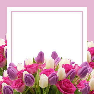 不办仪式怎么改口 领证没办婚礼要改口么