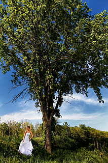 酒店和农村婚礼哪个贵 大棚婚礼和酒店婚礼哪个贵