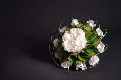 婚礼主持人培训学校 菏泽司仪培训学校有哪些