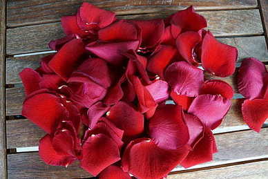 适合电子版婚纱照的歌