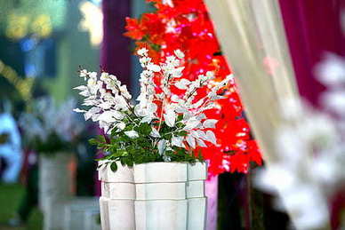 女士房产中介穿什么衣服 做房产中介需要穿正装吗