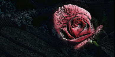 七月出生的孩子五行属什么