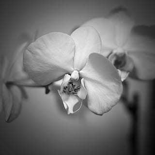 女方父亲答谢宴致辞简短大气 女方家长答谢宴词