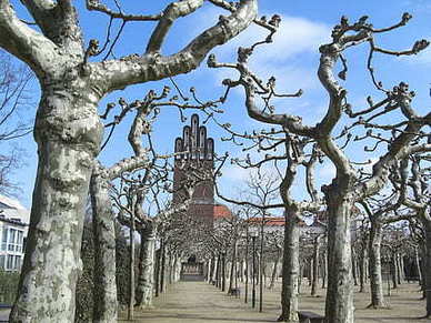 老板请员工吃饭开场白 老板请员工吃饭怎么发言？