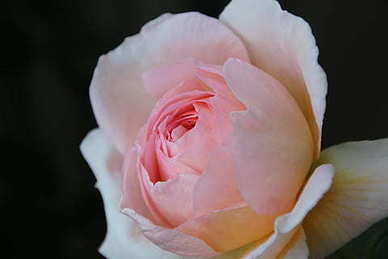 画眼线好看还是不画眼线好看 纹眼线好看还是不做好看