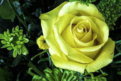 外面哪里可以化妆 临时化妆去哪里