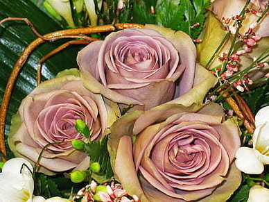 给妈妈爸爸亲昵的称呼 爸爸妈妈怎样的称呼最好听呢?