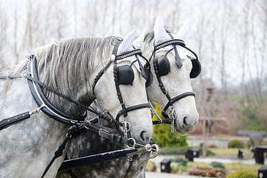 微信怎样做婚礼邀请 微信怎么弄结婚邀请函