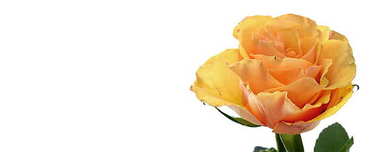 婚恋销售顾问发展前景 重庆婚恋顾问电话销售好做吗