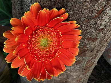 酒店婚宴菜单菜名 婚宴有哪些菜名