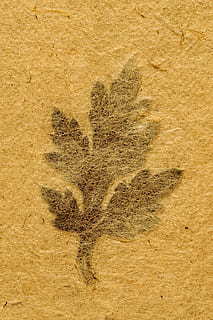 有趣的打卡签到形式