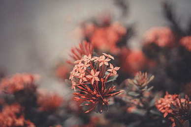 女方出嫁需要摆酒吗 嫁女儿不办酒席行吗