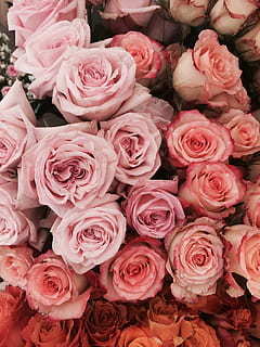 红包背面怎么署名夫妻 结婚红包夫妻落款格式,结婚红包格式怎么写