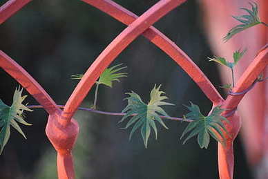 结婚证名字写错了去哪里改 结婚证上的姓名如何更改