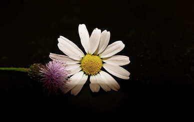 长沙有哪些婚庆公司 长沙豪天婚庆婚纱广场的公司简介