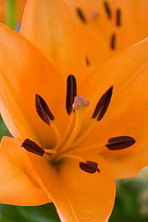 楼梯的主要作用是什么 高层住宅中电梯和楼梯各有什么作用