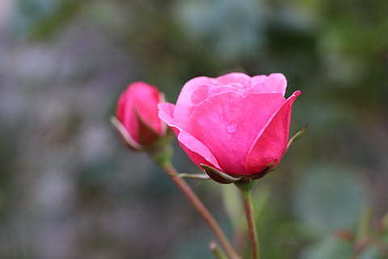 离婚了的人可以做伴娘嘛 离过婚的可以当伴娘吗