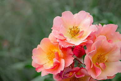 怎么高情商评论朋友结婚 评论朋友结婚的朋友圈的评论语