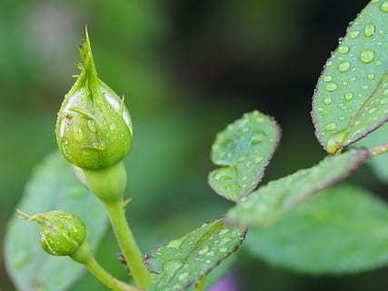 二字开头成语大全 二字开头的成语有哪些？