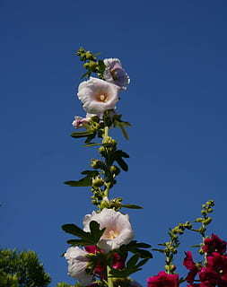 不俗气的简短结婚祝福语 不俗气的结婚简短祝福语