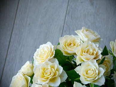 新娘对妈妈说的搞怪话 最搞笑的笑话大全