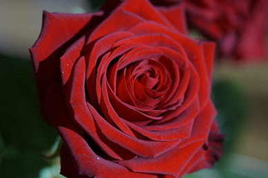 南京有哪些天主教堂