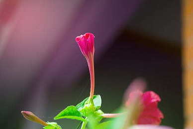 二婚去登记结婚需要准备什么证件 二婚登记需要带什么证件