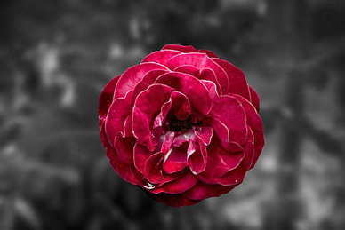 新员工入职见面会流程 新员工入职欢迎会流程?