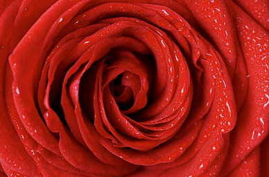 适合气息不足男生唱的歌 适合低沉嗓音男生的歌有哪些?