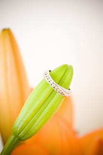 创意婚礼开场mv 求一制作婚礼开场MV的视频制作软件！