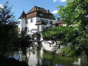 寓意家庭幸福美满的花 代表家庭幸福,婚姻美满的花是什么花