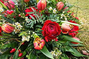 李小璐与贾乃亮身高图片 贾乃亮真实身高多少?