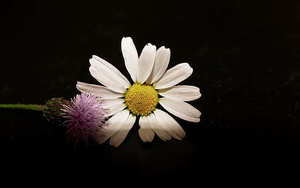 四套衣服的婚纱照风格怎么选 拍婚纱照的衣服有4套,选什么样的好?