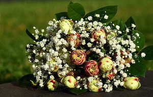 报日喜帖怎么写 报日喜帖怎么写