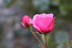 结婚做什么美甲好看图片 结婚做什么样美甲好看?