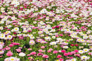 默默的离开的说说 暗示默默离开的句子有哪些?